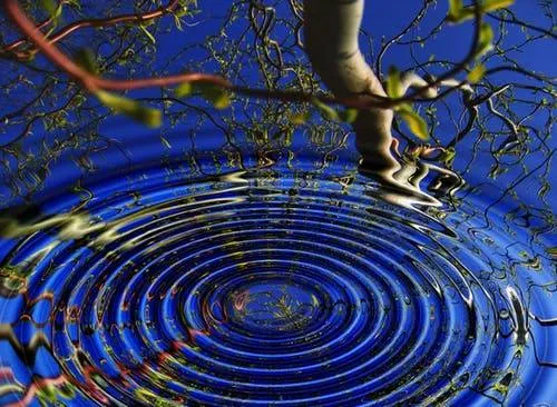 The Ripple of Love
